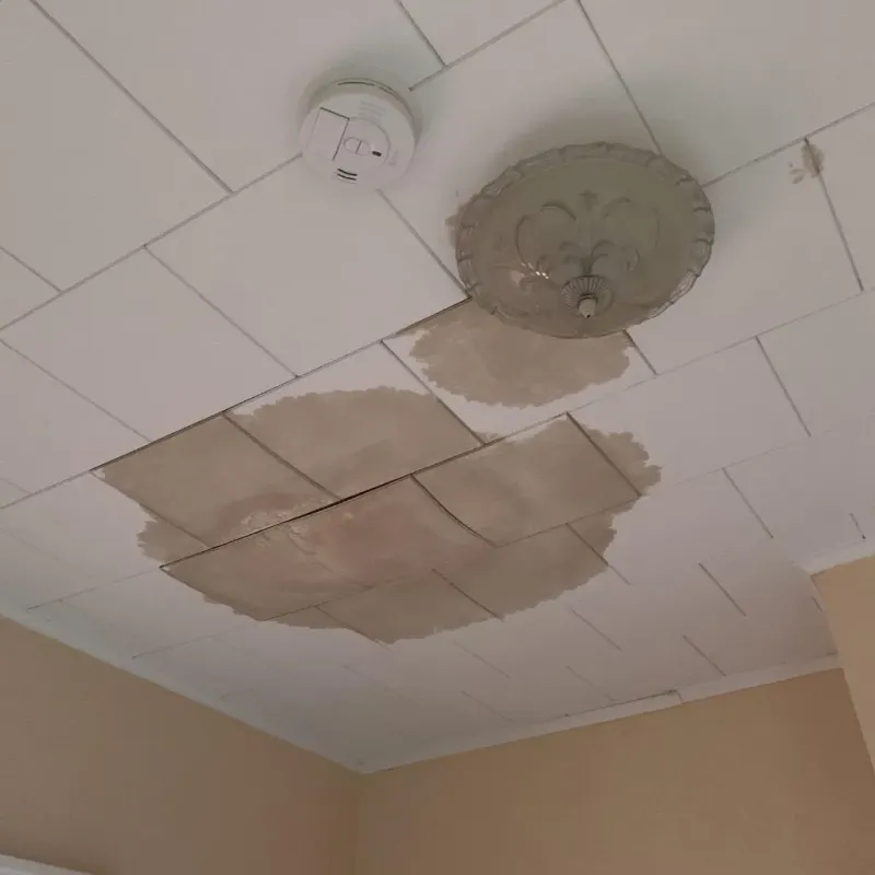Ceiling Water Damage Repair in Wisner, NE